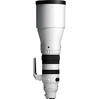Sigma 300-600mm f4 DG OS Sports - Sony E