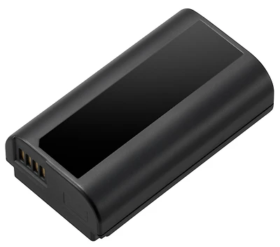 Panasonic-Lumix DMW-BLJ31 Battery Pack