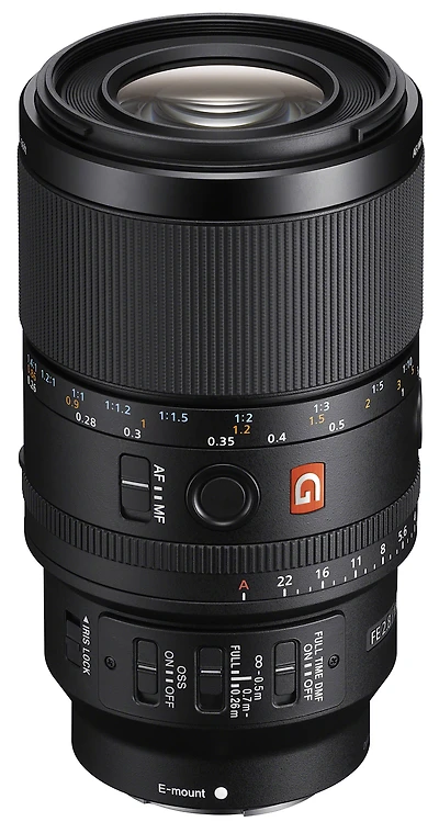 Sony FE 100mm F2.8 Macro GM OSS