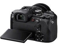 Sony RX10 V Premium 25x High-zoom Camera DSC-RX10M5