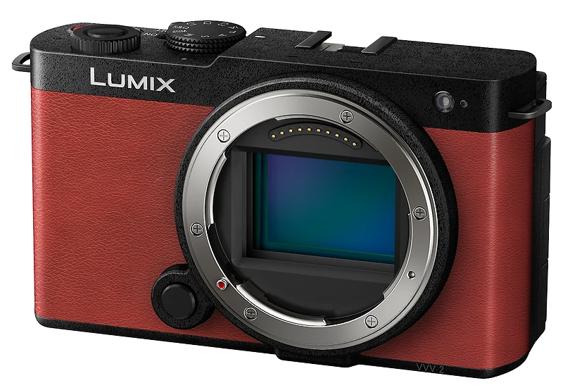 Panasonic-Lumix Lumix S9 Digital Mirrorless Camera with S 20-60mm f/3.5-5.6 Lens