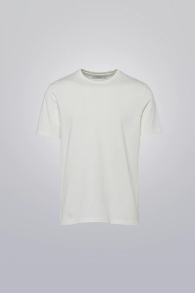 Premium Cotton T Shirt – Clubman by Leonardo | 100%
