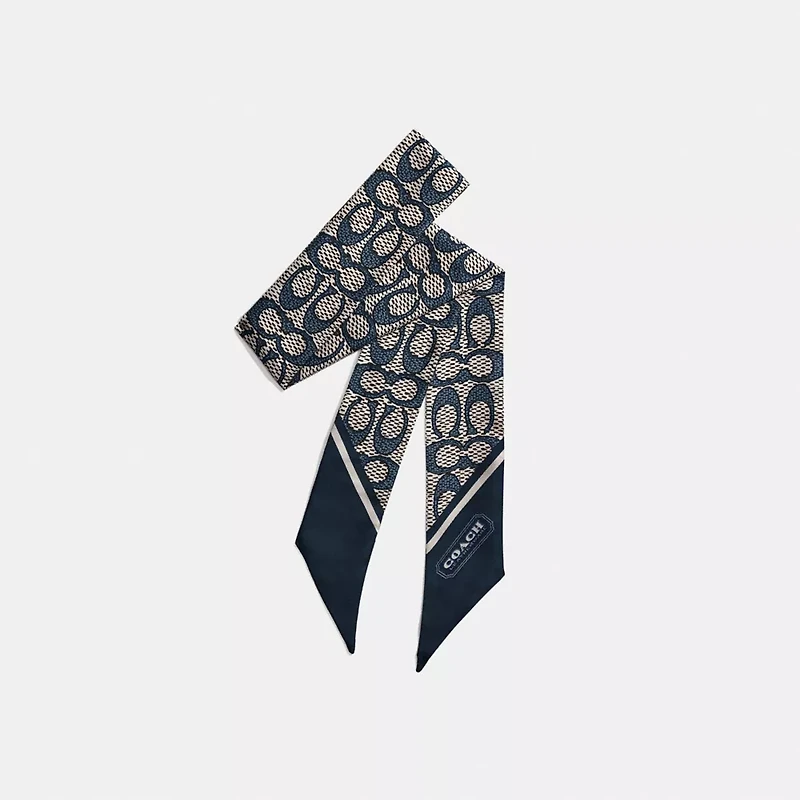 Textured Signature Print Silk Skinny Scarf