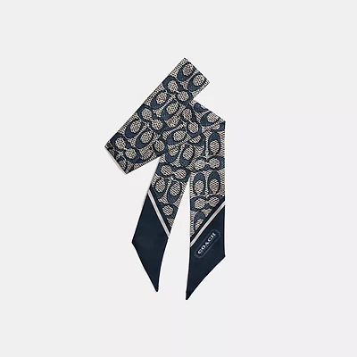 Textured Signature Print Silk Skinny Scarf