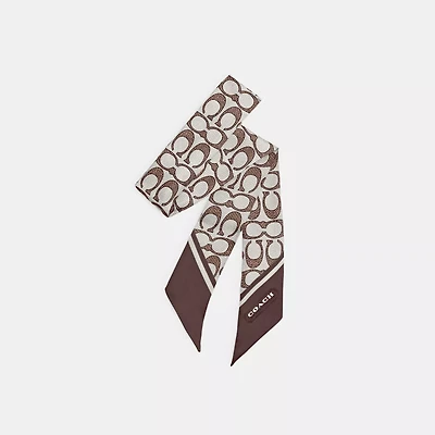 Textured Signature Print Silk Skinny Scarf