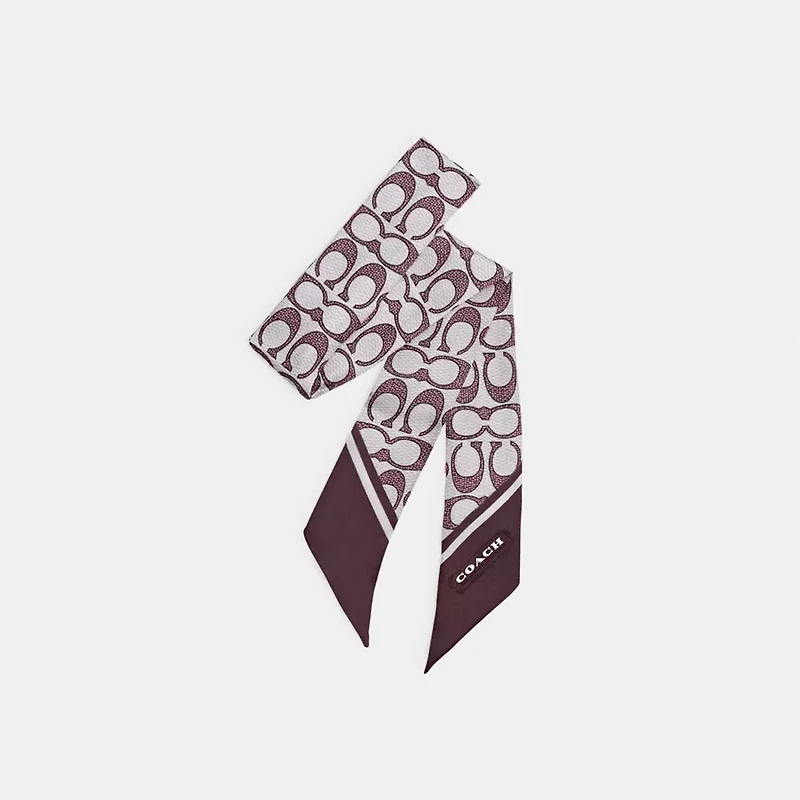 Textured Signature Print Silk Skinny Scarf