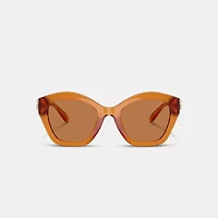 Maxi Sculpted C Oversized Geometric Sunglasses