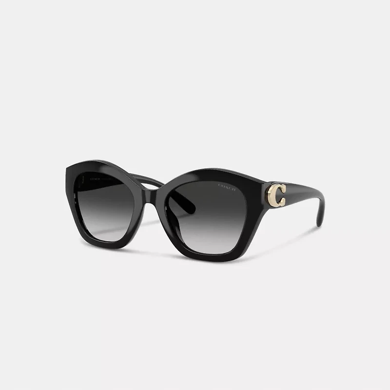 Maxi Sculpted C Oversized Geometric Sunglasses