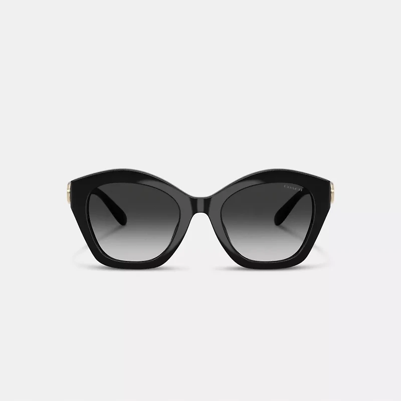 Maxi Sculpted C Oversized Geometric Sunglasses