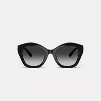 Maxi Sculpted C Oversized Geometric Sunglasses