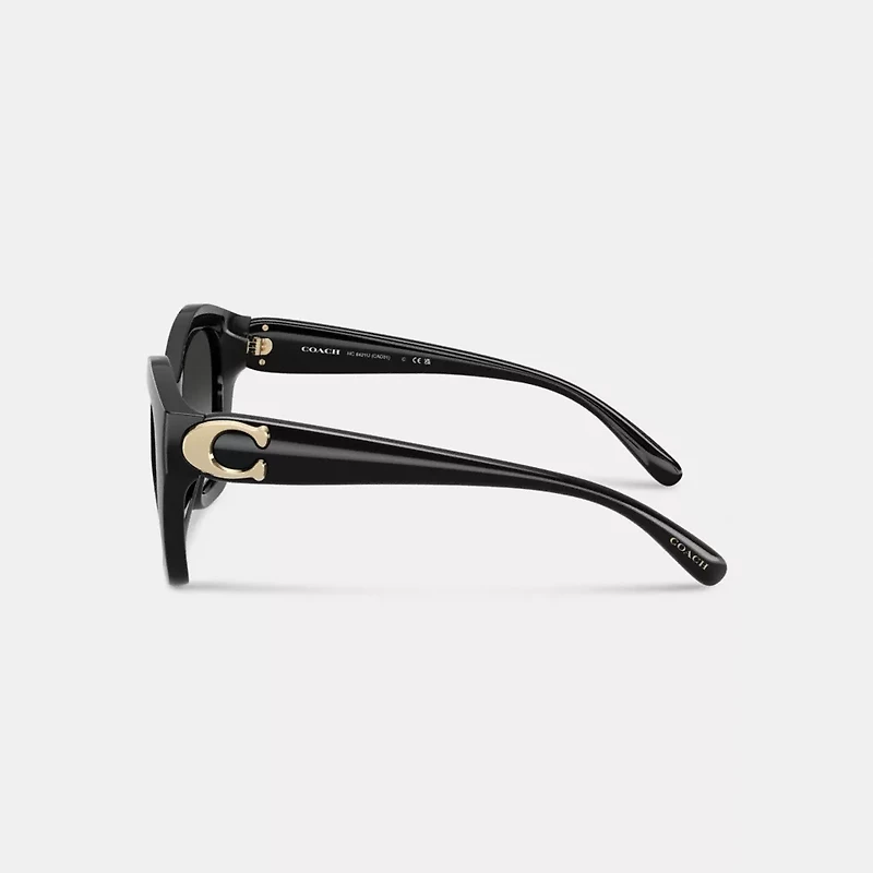 Maxi Sculpted C Oversized Geometric Sunglasses