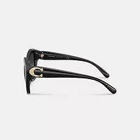 Maxi Sculpted C Oversized Geometric Sunglasses