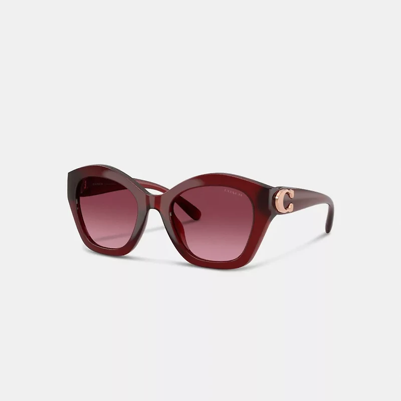 Maxi Sculpted C Oversized Geometric Sunglasses