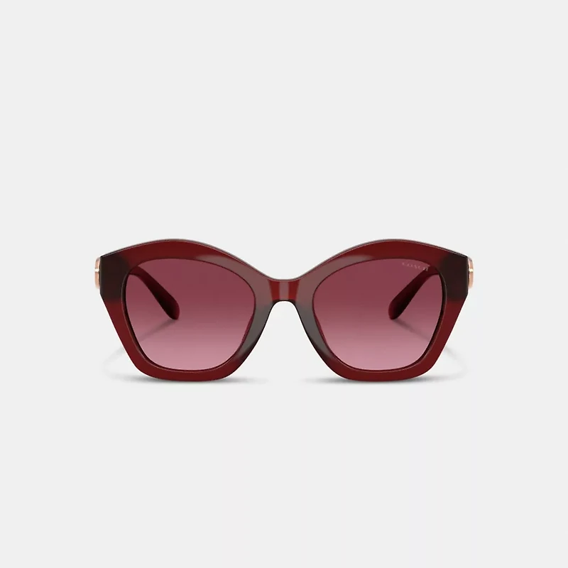 Maxi Sculpted C Oversized Geometric Sunglasses
