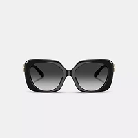 Maxi Sculpted C Oversized Square Sunglasses