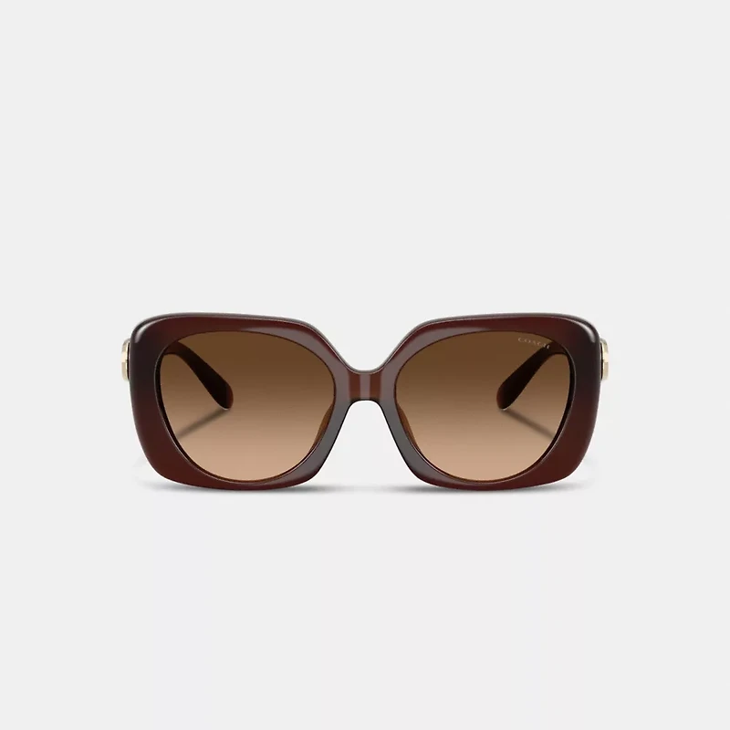 Maxi Sculpted C Oversized Square Sunglasses