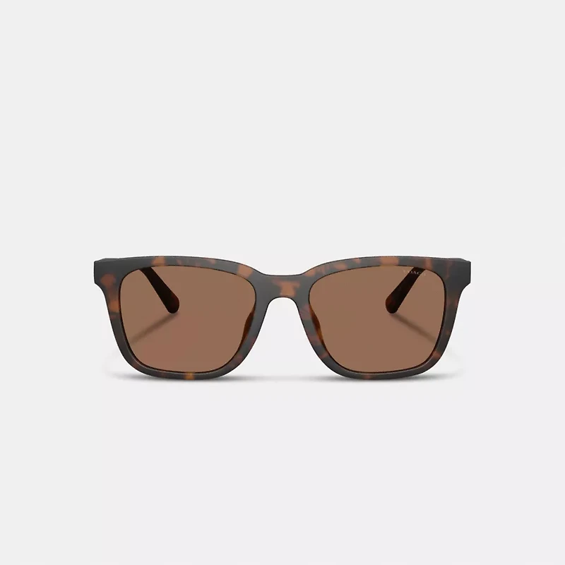 C Hardware Textured Temple Square Sunglasses