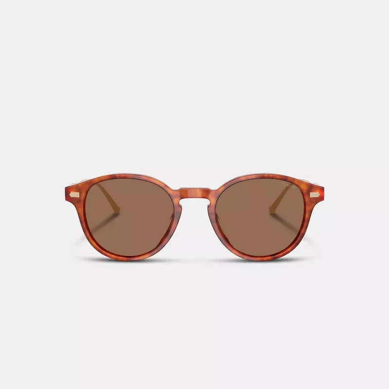 Signature Round Sunglasses