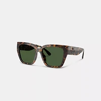 Oversized Cat Eye Sunglasses