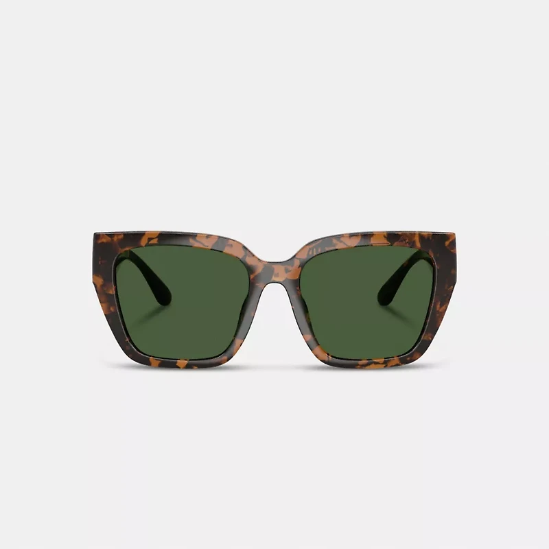 Oversized Cat Eye Sunglasses