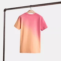 Restored Ombre Horse And Carriage T Shirt In Organic Cotton