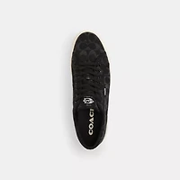 Canvas Sneaker Signature Denim