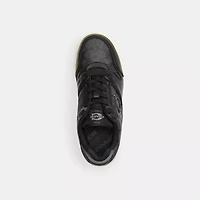 Soho Sneaker Signature Canvas