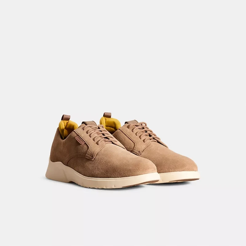 Restored Citysole Derby