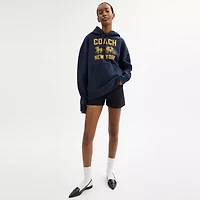 Horse And Carriage Hoodie