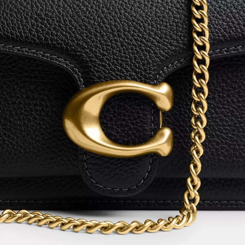 Tabby Chain Crossbody Bag 19