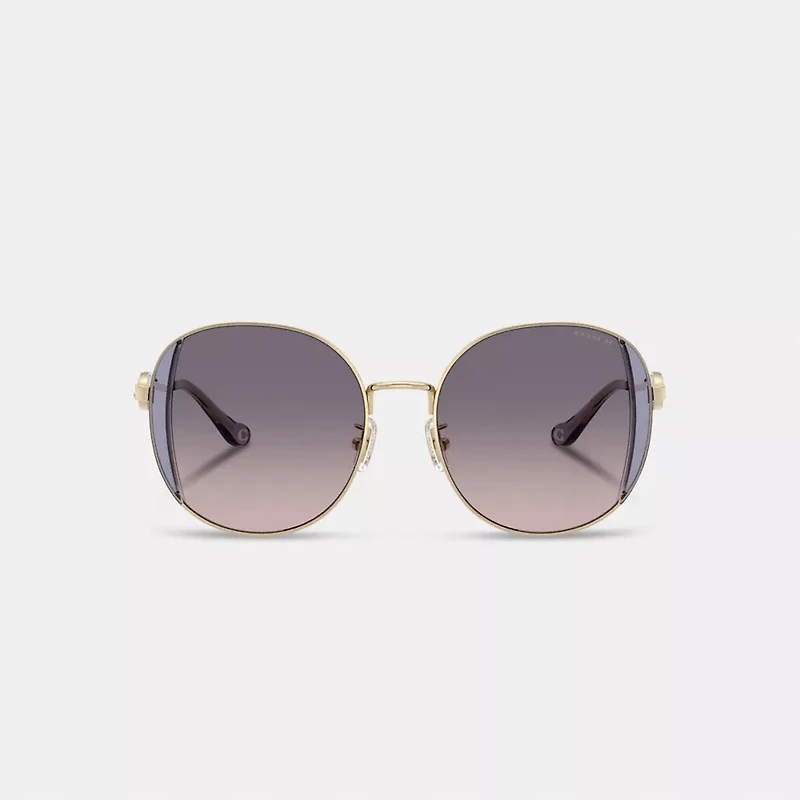 Horse And Carriage Metal Round Sunglasses