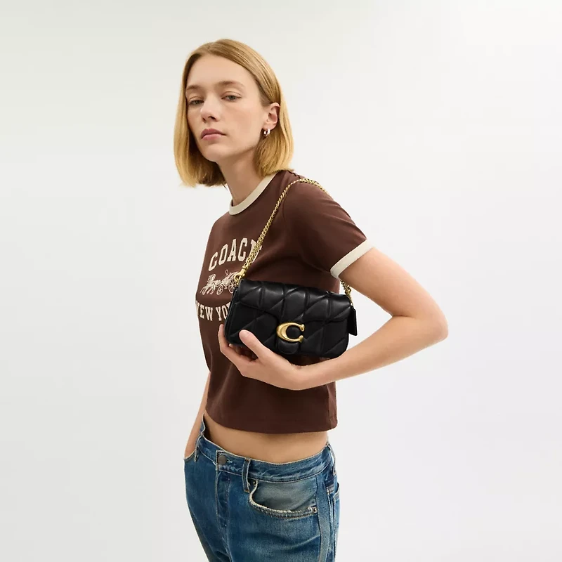 Tabby Chain Crossbody Bag 19 With Quilting