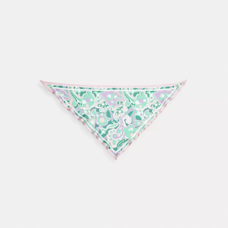 Andrea Paisley Print Silk Triangle Scarf