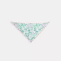 Andrea Paisley Print Silk Triangle Scarf