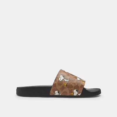 Coach X Peanuts Pool Slide Signature Canvas With Snoopy Print
