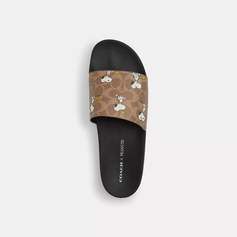 Coach X Peanuts Pool Slide Signature Canvas With Snoopy Print
