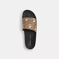 Coach X Peanuts Pool Slide Signature Canvas With Snoopy Print