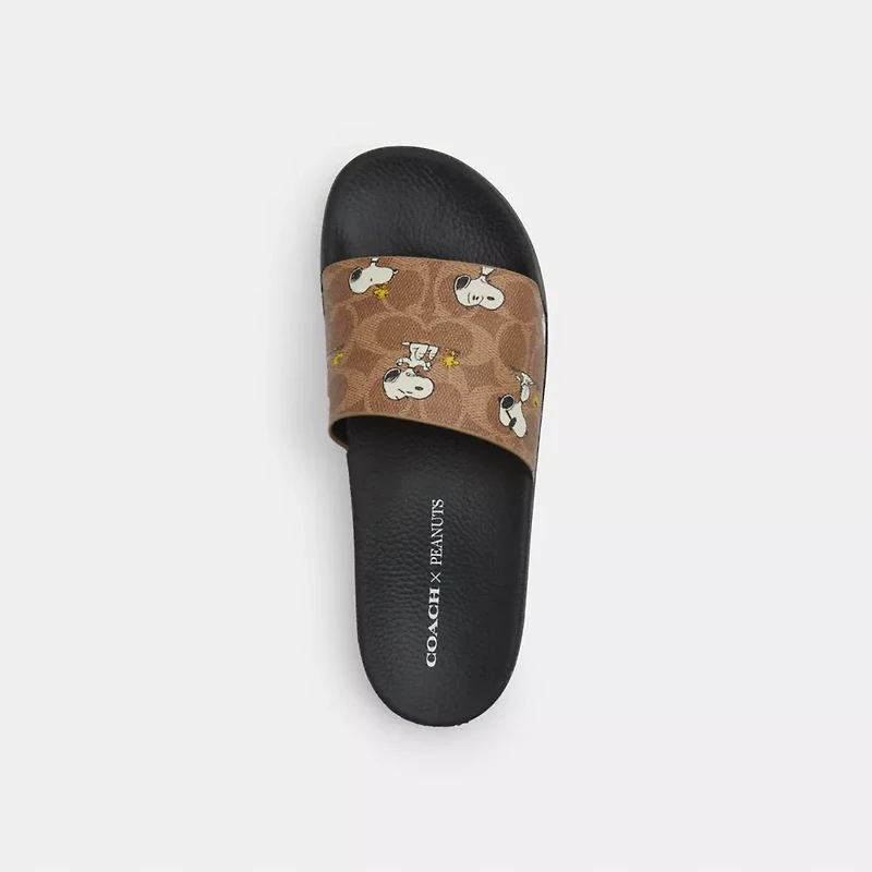 Coach X Peanuts Udele Sport Slide Signature Canvas With Snoopy Print