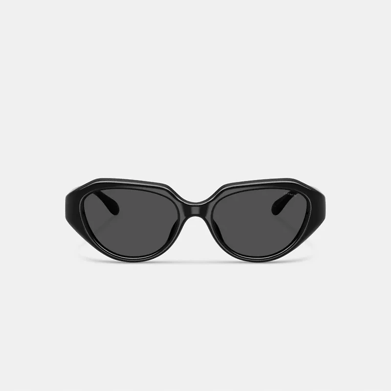 C Hardware Geometric Sunglasses