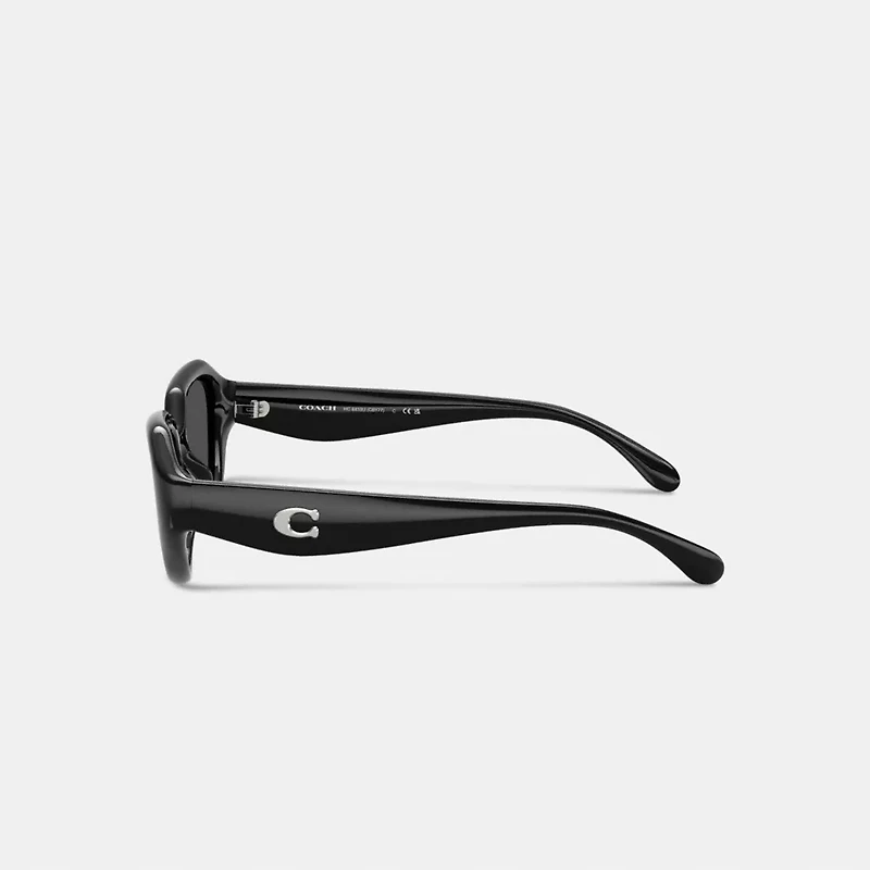 C Hardware Geometric Sunglasses