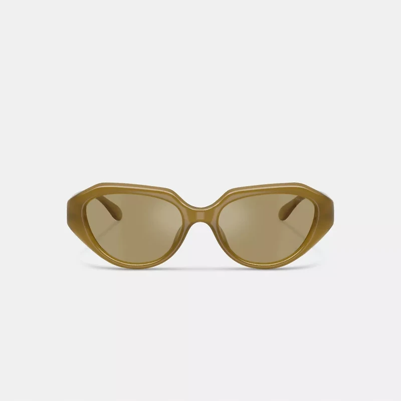 C Hardware Geometric Sunglasses