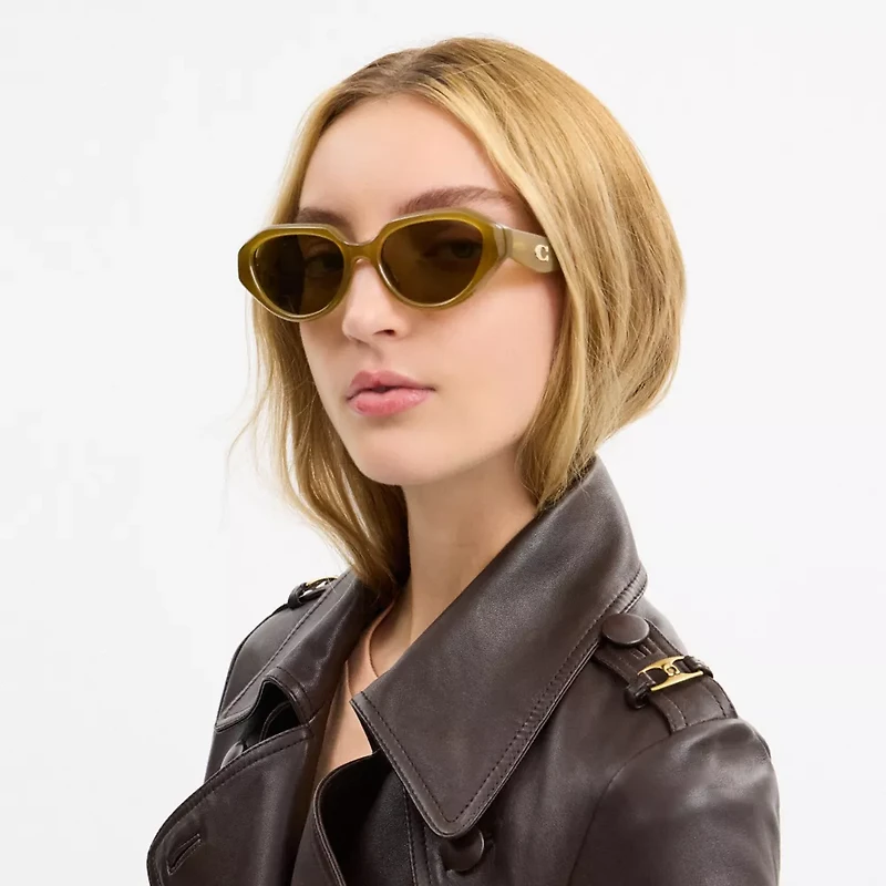 C Hardware Geometric Sunglasses