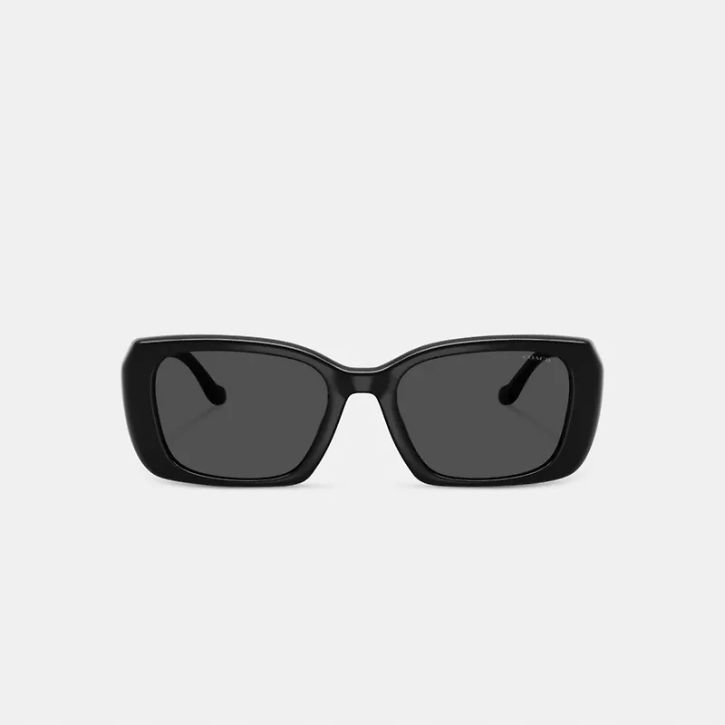 Maxi Sculpted C Oversized Rectangle Sunglasses