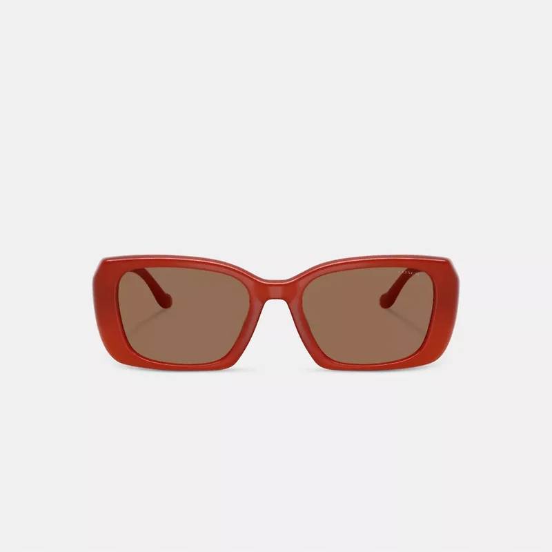 Maxi Sculpted C Oversized Rectangle Sunglasses
