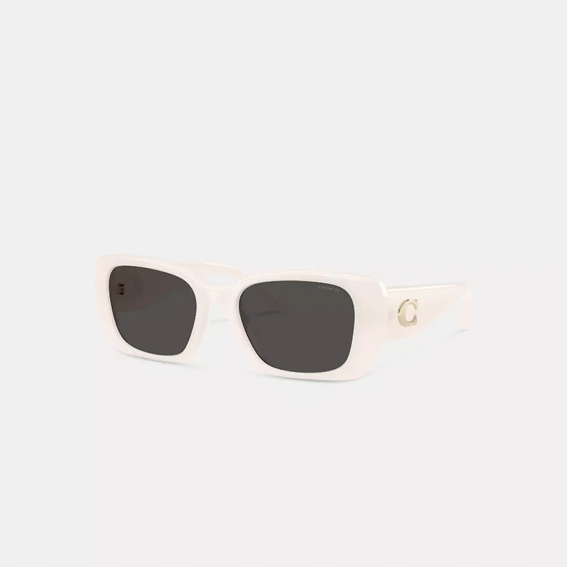 Maxi Sculpted C Oversized Rectangle Sunglasses