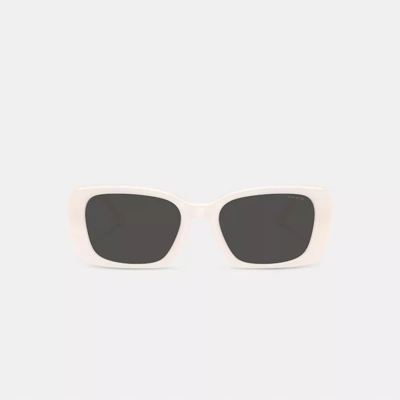 Maxi Sculpted C Oversized Rectangle Sunglasses