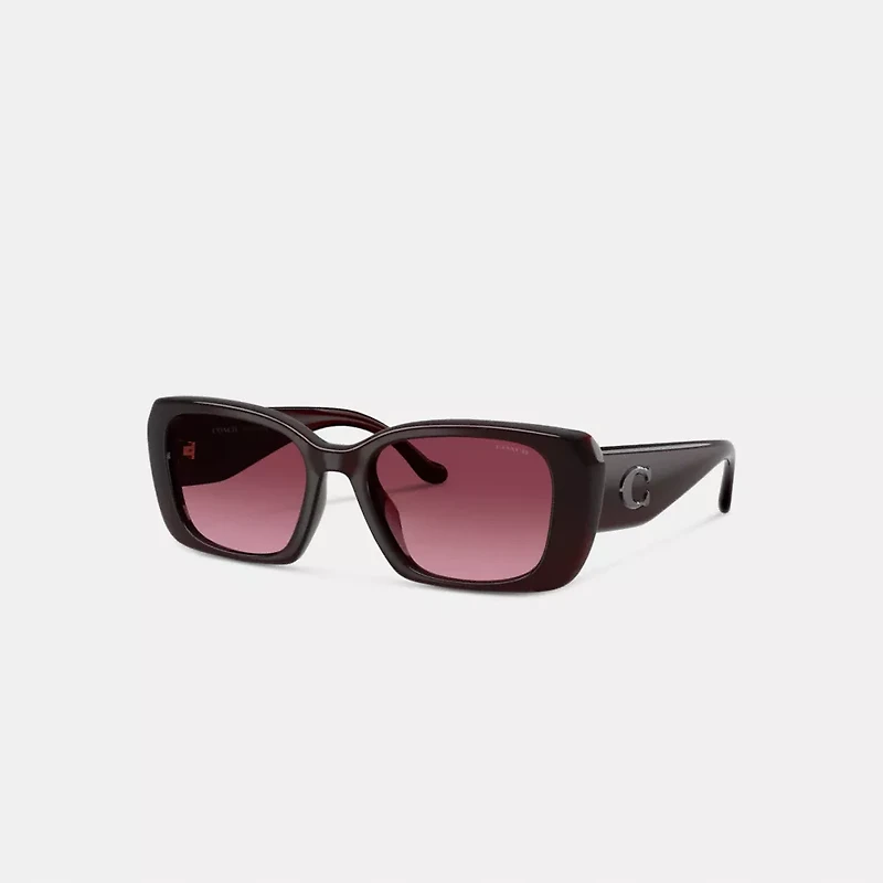 Maxi Sculpted C Oversized Rectangle Sunglasses