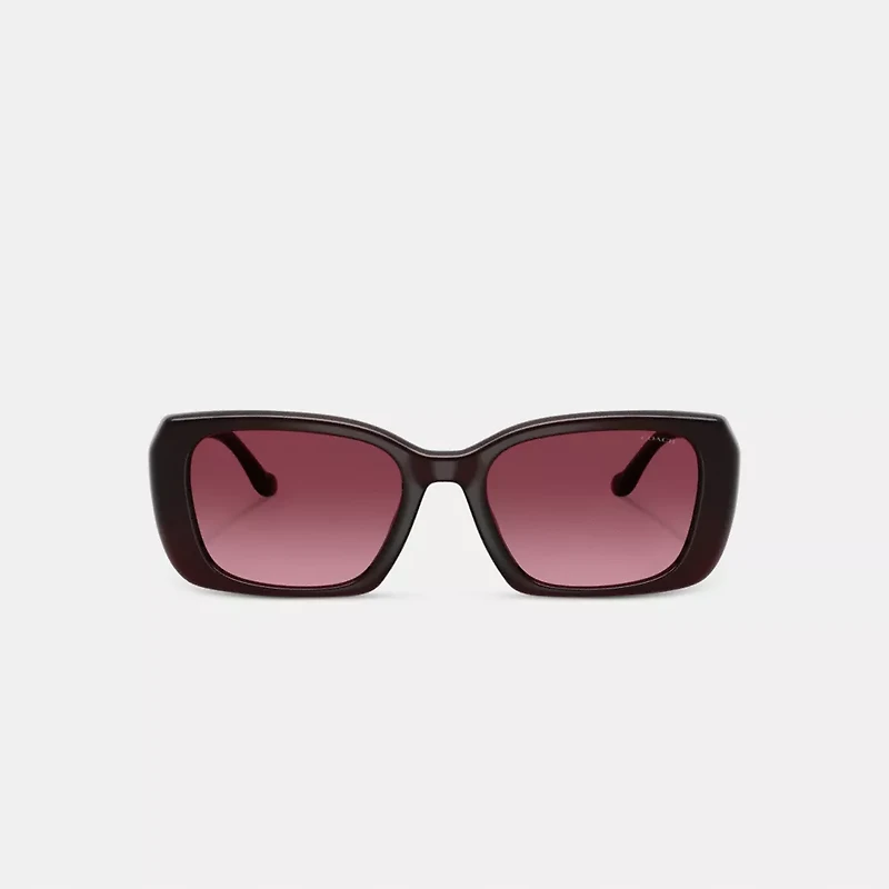 Maxi Sculpted C Oversized Rectangle Sunglasses