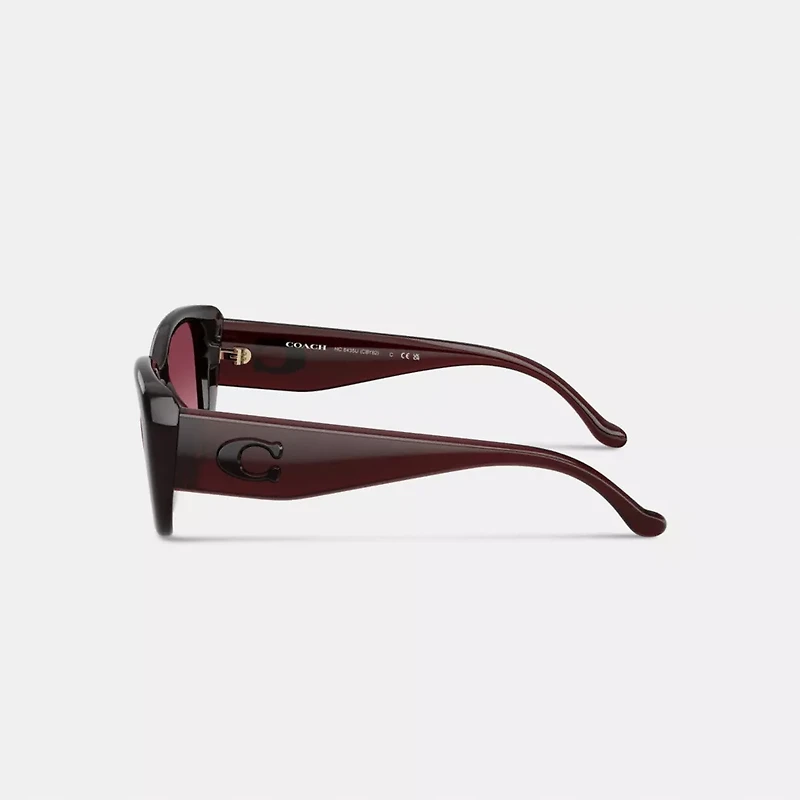 Maxi Sculpted C Oversized Rectangle Sunglasses