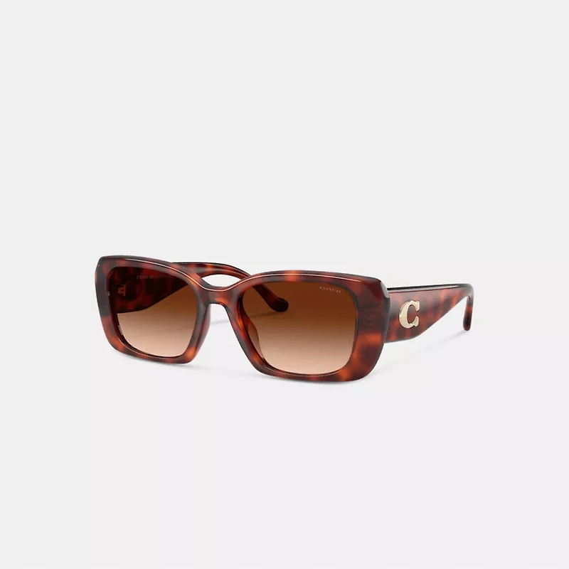 Maxi Sculpted C Oversized Rectangle Sunglasses